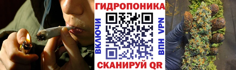 купить наркотик  Оренбург  Бошки Шишки гибрид 